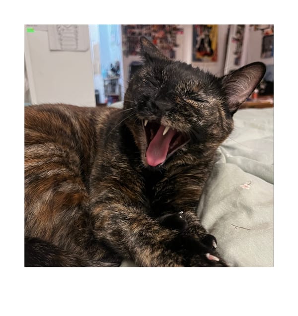 happy birthday newsletter